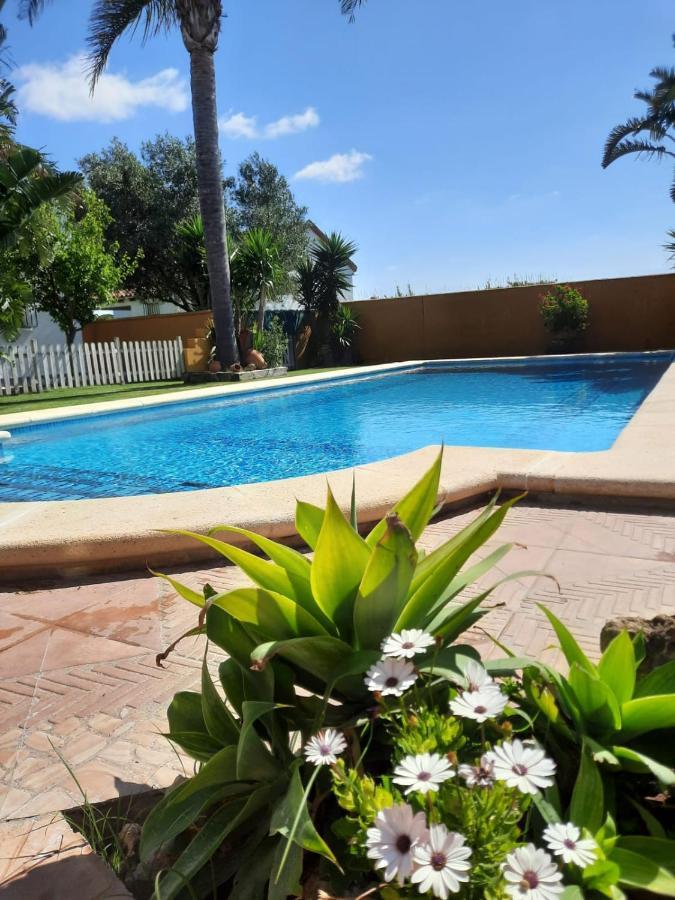 Chalet La Huerta Con Piscina Y Wifi Conil De La Frontera Exteriör bild