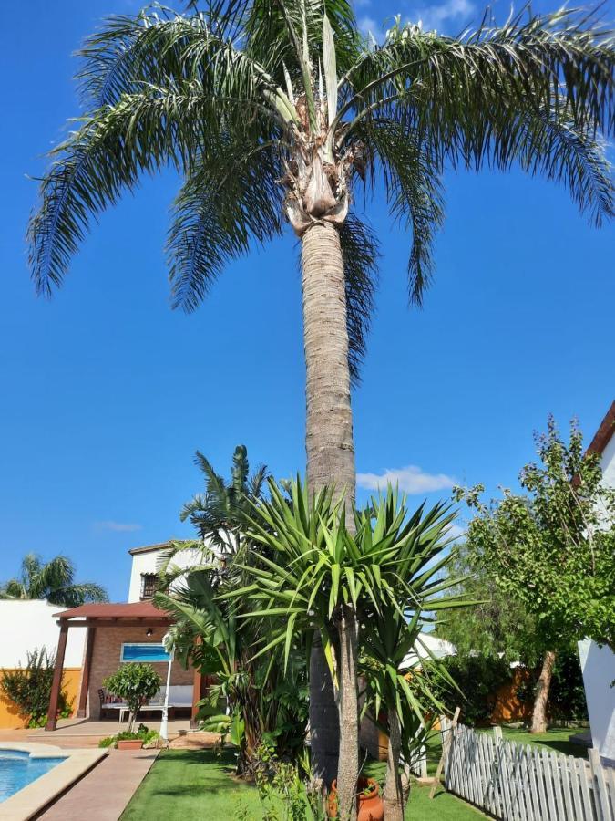 Chalet La Huerta Con Piscina Y Wifi Conil De La Frontera Exteriör bild