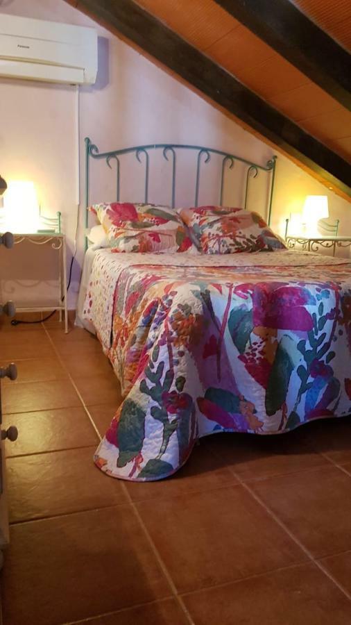 Chalet La Huerta Con Piscina Y Wifi Conil De La Frontera Exteriör bild