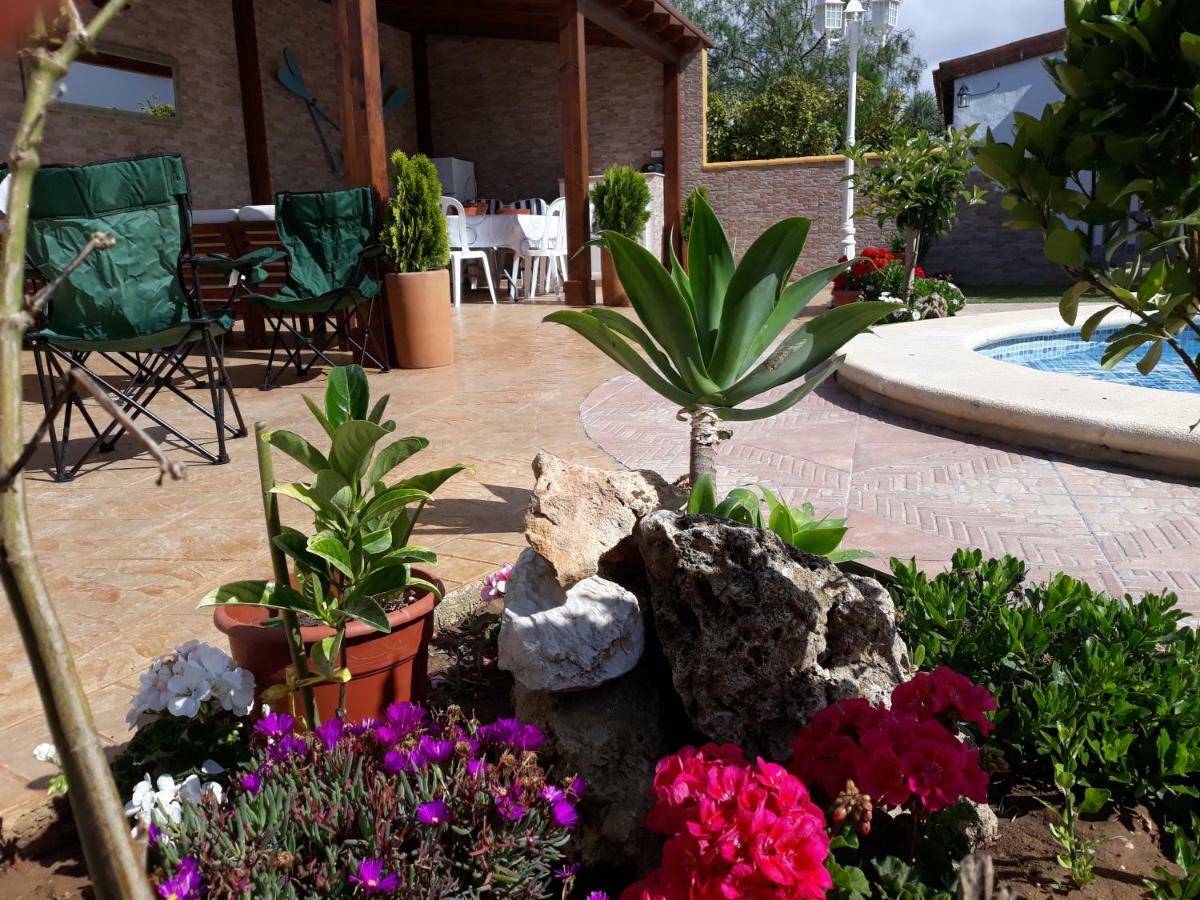 Chalet La Huerta Con Piscina Y Wifi Conil De La Frontera Exteriör bild